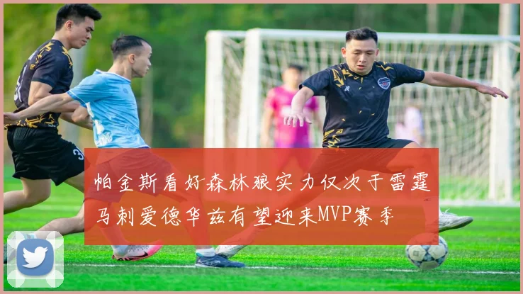 帕金斯看好森林狼实力仅次于雷霆马刺爱德华兹有望迎来MVP赛季